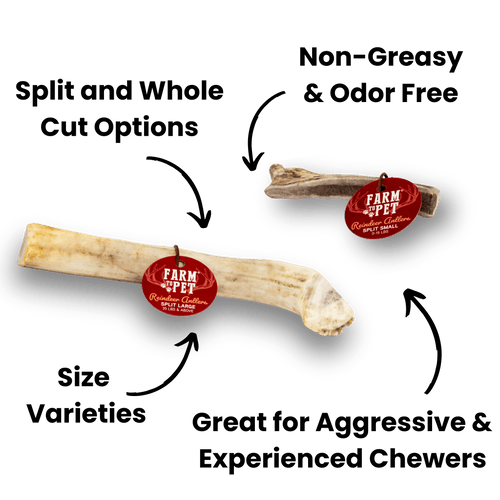 REINDEER ANTLERS FOR DOGS | ANTLER DOG CHEWS FOR AGGRESSIVE CHEWERS