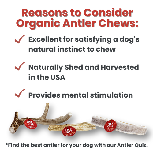 REINDEER ANTLERS FOR DOGS | ANTLER DOG CHEWS FOR AGGRESSIVE CHEWERS