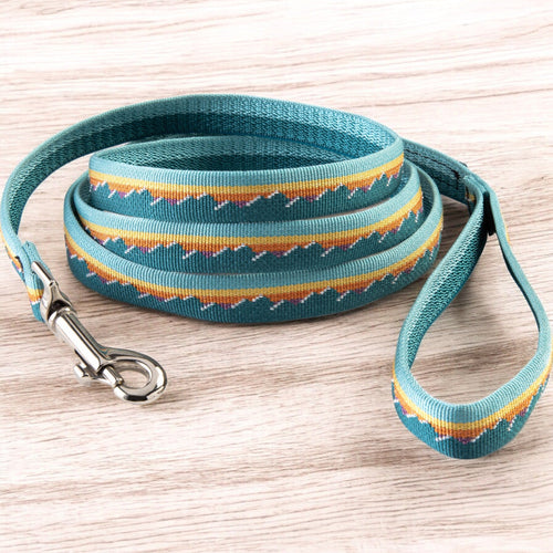 Classic Dog Leash 3/4''