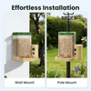 Birdfy Feeder Rookie - Beginner-Friendly Smart Bird Feeder Green