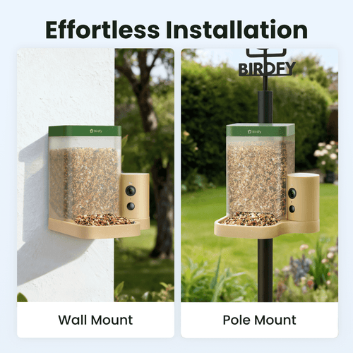 Birdfy Feeder Rookie - Beginner-Friendly Smart Bird Feeder Green