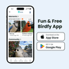 Birdfy Feeder Rookie - Beginner-Friendly Smart Bird Feeder Green