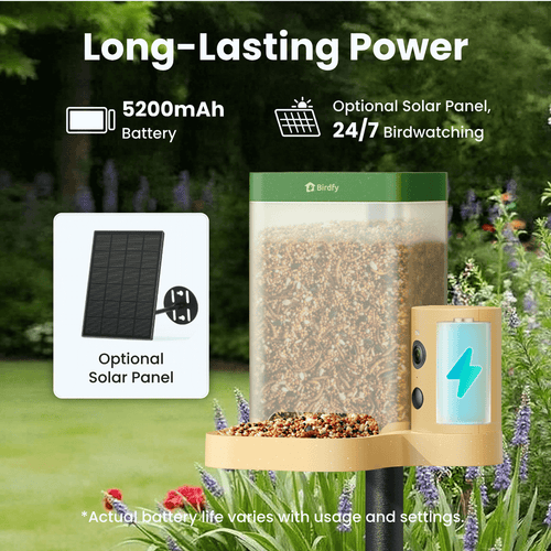Birdfy Feeder Rookie - Beginner-Friendly Smart Bird Feeder Green