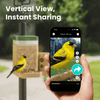 Birdfy Feeder Rookie - Beginner-Friendly Smart Bird Feeder Green
