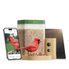 Birdfy Feeder Rookie - Beginner-Friendly Smart Bird Feeder Green