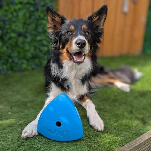 Roolo Enrichment Bopping Ball