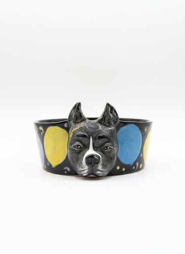 Special Custom Pet Bowls -  for small, medium and large size dogs