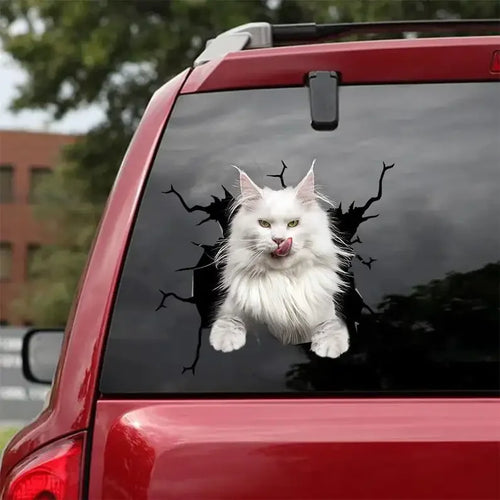 Maine Coon Cat Decal - fits cars,Windows,Laptops and any smooth surface, Maine Coon Cat Stickers, Pet Stickers, Custom Cat Stick