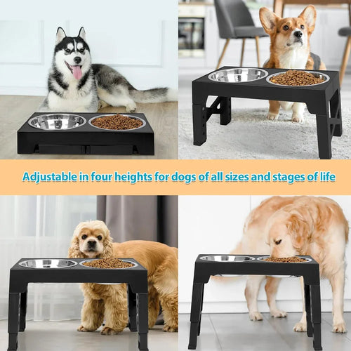 Adjustable Raised Dog Feeder with Double Stainless Steel Bowls