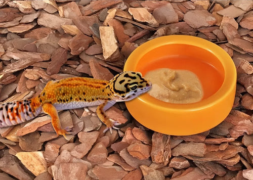 Reptile Water Food Bowl Worm Dish Ceramic Pet Bowls Anti-Escape Mini Reptile Mealworms Bowl for Lizard Bearded Dragon