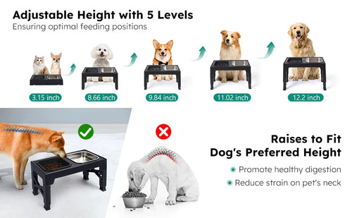 Elevated Slow Feeder Dog Bowls - 5 Heights Adjustable Stand
