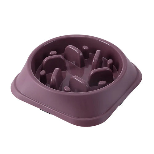 Anti-Choking Slow Feeder Dog Bowl - Non-Slip Plastic Maze Bowl