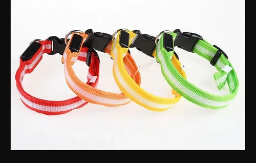 LED Glow Dog Collar & Leash | Nylon Night Safety Flashing Collar