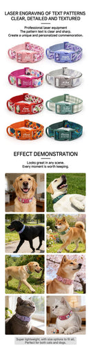 Luxury Bow Dog Collar Set | Cotton & Polyester | XS–XL | With Leash & Poop Bag
