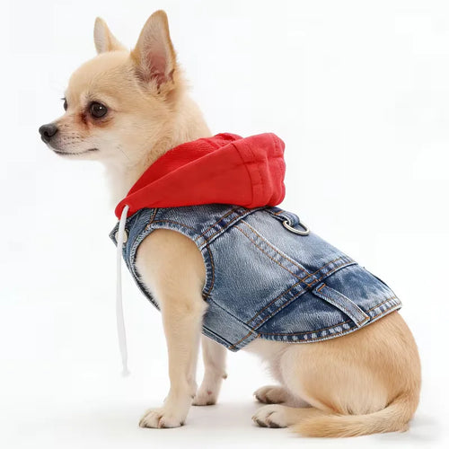 Designer Denim Dog Hoodie Jacket