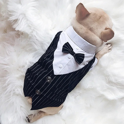 English Style Gentleman Dog Dress Puppy Suit with Tie for Formal Occasions Four Seasons Wedding Pet Photo Teddy Clothes