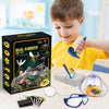 Fly Amber Excavation Kit - STEM Science Dig Set with Tools