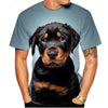 Dog T-Shirts Rottweiler 3D Print Men Women Streetwear Short Sleeve Round Neck T Shirt Casual Tops Harajuku Tees Men's Clothing