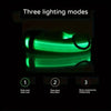 Nylon LED Night Safety Flashing Glow In The Dark Dog Leash Dogs Luminous Fluorescent Pet Dog Collar