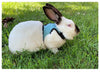 Harness with Leash Set for Rabbits Breathable Pet Vest for Rabbit Ferrets Guinea Pig Squirrel Adjustable Soft Small Pet Harness