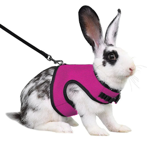 Solid Adjustable Pet Harness and Leash for Rabbit Bunny Cat Ferrets Outdoor Walking Pets Supplies lapin accessoires pour animaux