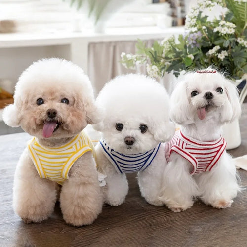 Pet Thin Striped Dress Dog Teddy Small Dog Yorkshire Lace Vest Dog Dresses for Small Dogs Puppy Clothes