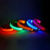 LED Glow Dog Collar & Leash | Nylon Night Safety Flashing Collar