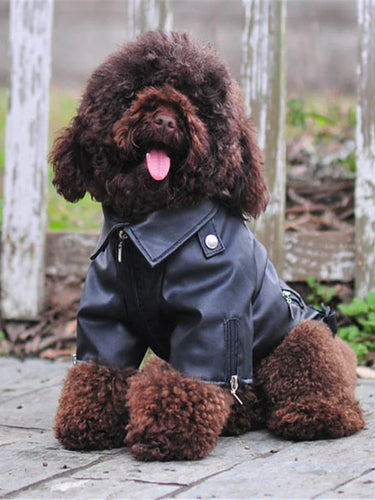 Glorious Eagle Outerwear Fashion C(XXS-XXL)
