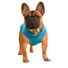 Warm Fleece Dogs Clothes Pet Dog Jacket Vest With D-Ring For Small Dog Cats Clothing French Bulldog Costumes Chihuahua Coat