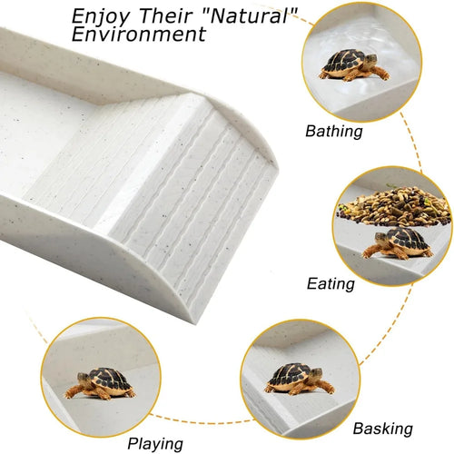 Reptile Bathing Pool Reptile Feeding Dish Water Bowl with Ramp Aquarium Ornament for Snake, Turtle, Bearded Dragon, Lizard Bath