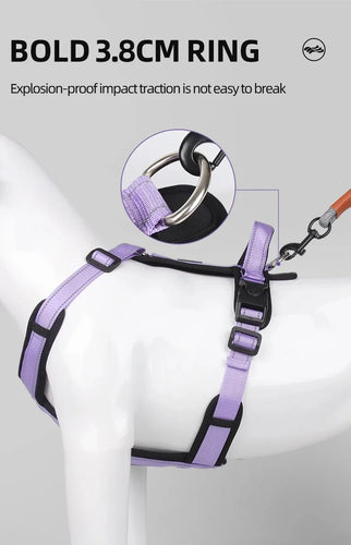 BeiYu Pet Harness With Leash Vest For Dogs