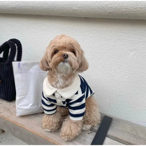 Striped Dog Shirt for Small Dogs Breathable Cotton Pet T-Shirt for Teddy Bichon Schnauzer Spring Summer Autumn Puppy Clothes