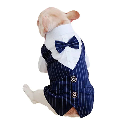 English Style Gentleman Dog Dress Puppy Suit with Tie for Formal Occasions Four Seasons Wedding Pet Photo Teddy Clothes