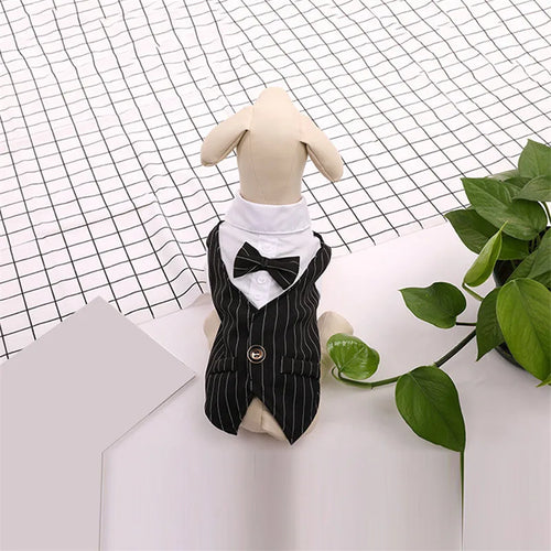 English Style Gentleman Dog Dress Puppy Suit with Tie for Formal Occasions Four Seasons Wedding Pet Photo Teddy Clothes