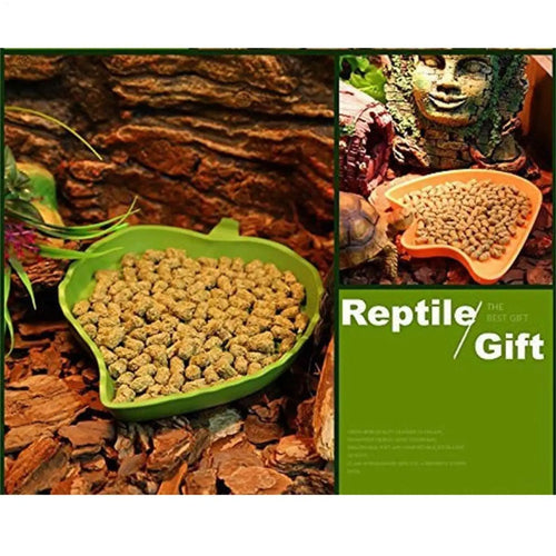 Reptile Dish Flat Drinking Bowl Flat Hermit Crab Bowl for Drinking and Eating Water Plate for Turtle Lizards Hamsters Snakes