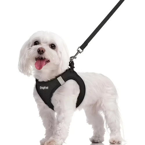 Dog Harness and Leash Set - Reflective Breathable Mesh Vest