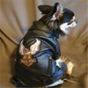 Glorious Eagle Outerwear Fashion C(XXS-XXL)
