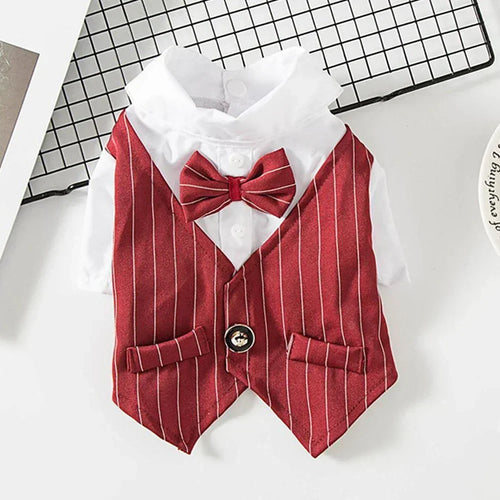English Style Gentleman Dog Dress Puppy Suit with Tie for Formal Occasions Four Seasons Wedding Pet Photo Teddy Clothes