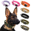 Tactical Dog Collar with Control Handle — 1000D Nylon, Double Closure & D-Ring | Collar Only or Collar & Leash Set | M–XL