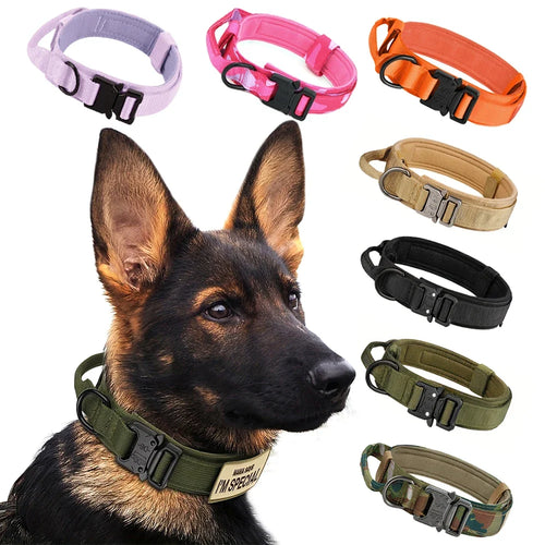 Tactical Dog Collar with Control Handle — 1000D Nylon, Double Closure & D-Ring | Collar Only or Collar & Leash Set | M–XL