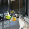 Interactive Chirping Bird Cat Toy Hanging Teaser Wand For Kitten Self Entertaining Anti Boredom Bite Resistant Pet Play Toy