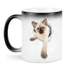 Funny Chiropractor Gifts from Friends for Graduation Unique White Coffee Mugs, World's Greatest Chiropractor Quote, 11oz or 15oz Ceramic