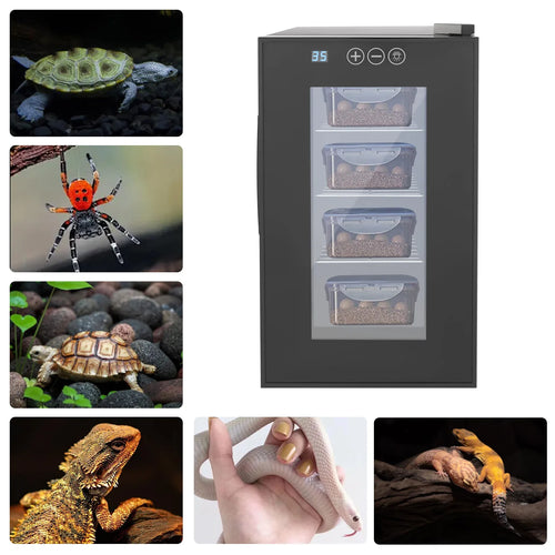 23L Reptile Incubator,Intelligent 23L Reptile Egg Incubator,Constant Temperature& Humidity Reptile Incubator,for Lizards/Turtles