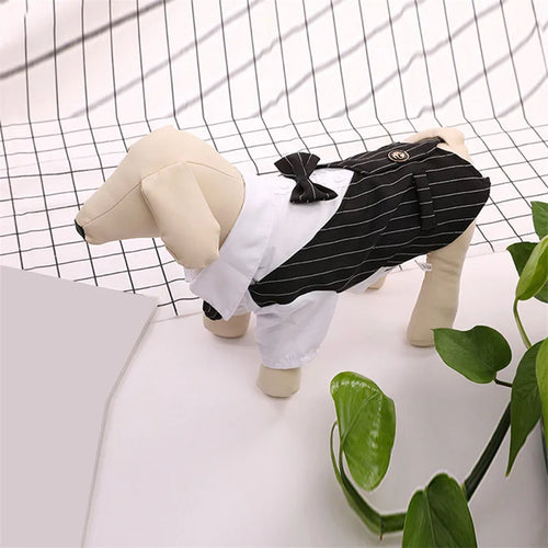 English Style Gentleman Dog Dress Puppy Suit with Tie for Formal Occasions Four Seasons Wedding Pet Photo Teddy Clothes