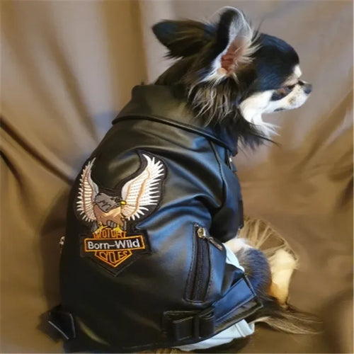 Glorious Eagle Outerwear Fashion C(XXS-XXL)