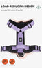 BeiYu Pet Harness With Leash Vest For Dogs