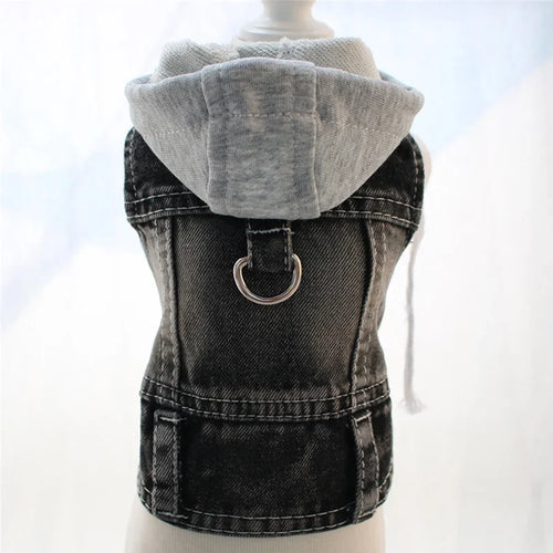 Designer Denim Dog Hoodie Jacket