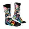 Rainbow Maine Coon Cat Themed Men's Mid-Calf Socks Non-Slip Skin-Friendly Soft Funny Stylish Streetwear Outdoor Skateboard Socks