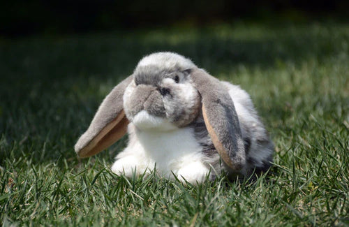 Realistic Lop Ear Rabbit Plush Toy, Lop Rabbit Plushie, Lifelike White Brown Bunny Stuffed Animal, Holland Lop Simulation Doll