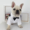 English Style Gentleman Dog Dress Puppy Suit with Tie for Formal Occasions Four Seasons Wedding Pet Photo Teddy Clothes